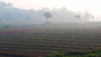 পঞ্চগড়ে বইছে মৃদু শৈত্যপ্রবাহ, তাপমাত্রা ৯.৩ ডিগ্রি
