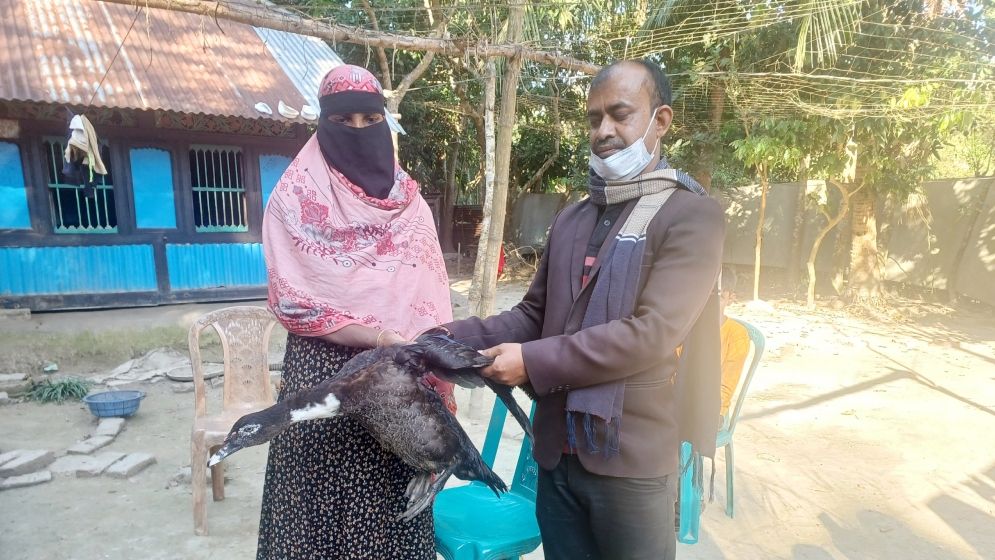 সেই হাঁস ফেরত দিলেন এনজিওর কর্মকর্তারা
