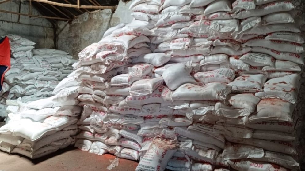 সিন্ডিকেটের কবলে সারের বাজার, জিম্মি কৃষক