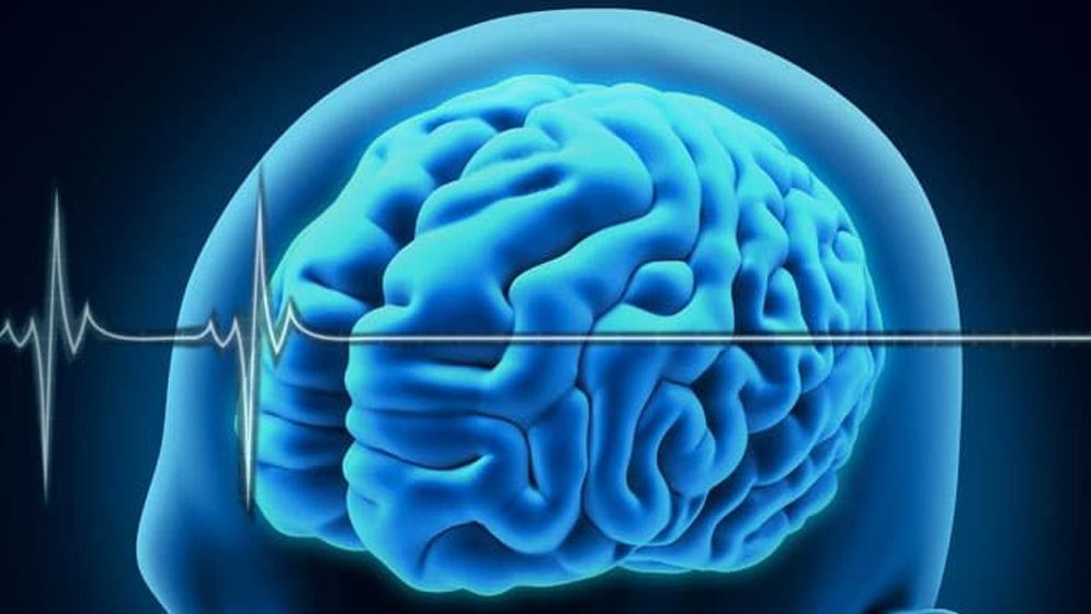 ‘ব্রেন ডেথ’ কী? কেন হৃৎস্পন্দন চললেও এটি বলা হয়