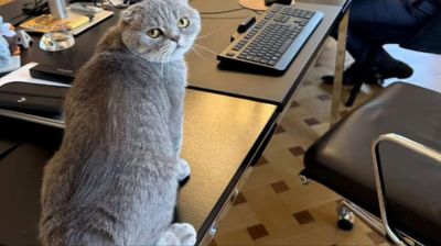 ডাউনিং স্ট্রিটের ‘ল্যারি’র পর আলোচনায় বেলজিয়ামের ‘ম্যাক্সিমাস’