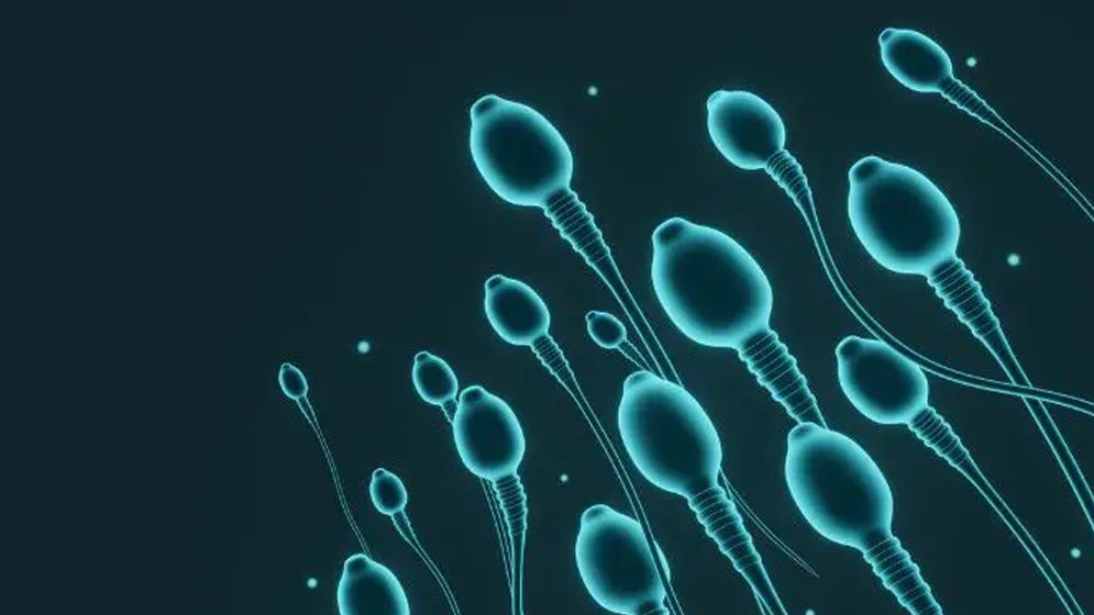 কম ঘুম শুক্রাণুর ওপর যে প্রভাব ফেলে