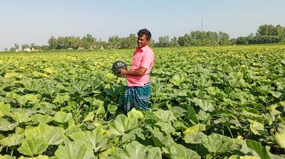 যমুনার অভিশপ্ত ধু-ধু বালুচর এখন আশীর্বাদ