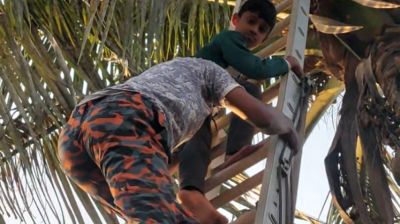 নারকেল গাছ থেকে শিশুকে উদ্ধার করল ফায়ার সার্ভিস