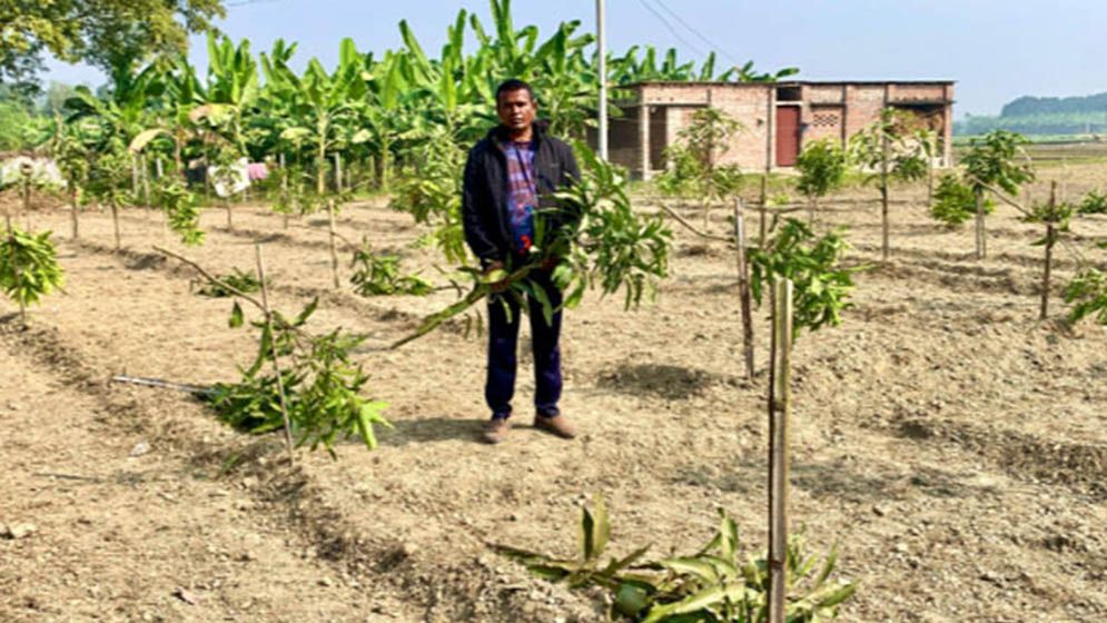 এক রাতেই সর্বস্বান্ত কৃষক সাইদুর