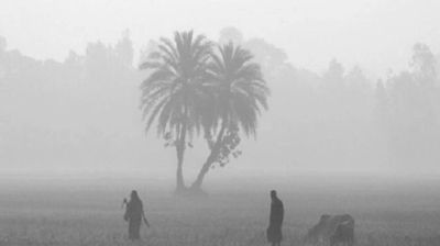 ডিসেম্বরের শেষ সপ্তাহে মাঝারি শৈত্যপ্রবাহের আভাস