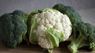 ফুলকপি না ব্রকোলি— পুষ্টিগুণে কে এগিয়ে? জেনে নিন