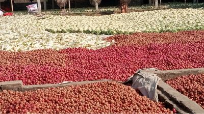 ফুলকপি প্রতি কেজি দুই টাকা