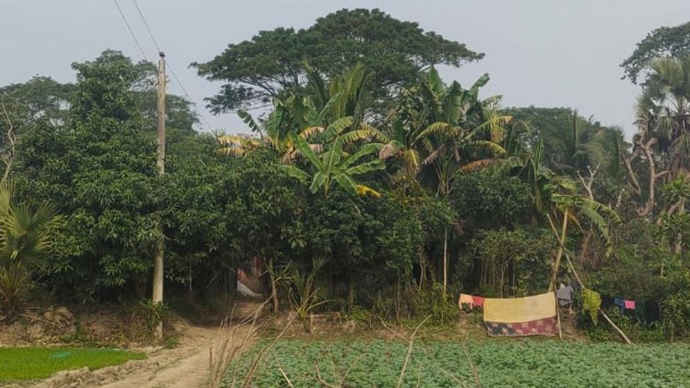 যে গ্রামে একটিই বাড়ি, ৪৩ জনসংখ্যার মধ্যে ভোটার ২৪ জন