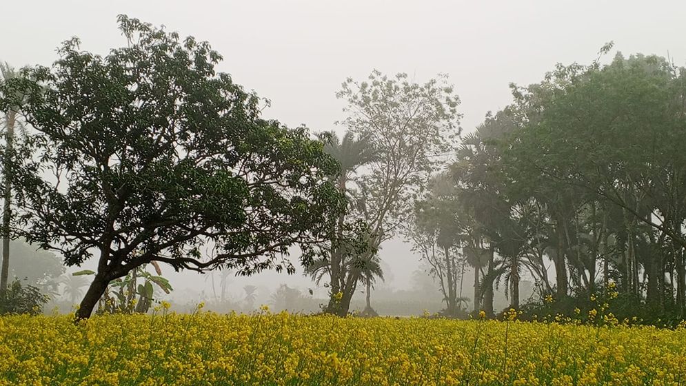 দেশের সর্বনিম্ন তাপমাত্রা চুয়াডাঙ্গায়, দুদিন পর দেখা মিলল সূর্যের