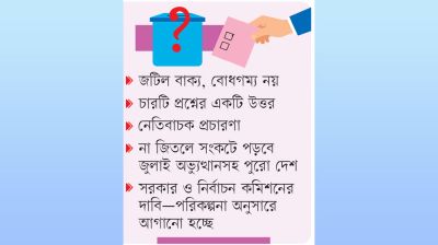 গণভোট নিয়ে নানা শঙ্কা