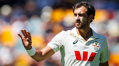 আইসিসি কেন ডিআরএসের খরচ দেয় না, প্রশ্ন ছুঁড়লেন স্টার্ক