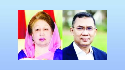 খালেদা জিয়া ও তারেক রহমানের পক্ষে মনোনয়নপত্র সংগ্রহ