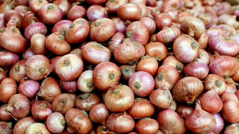 পেঁয়াজের বাজারে স্বস্তির হাওয়া