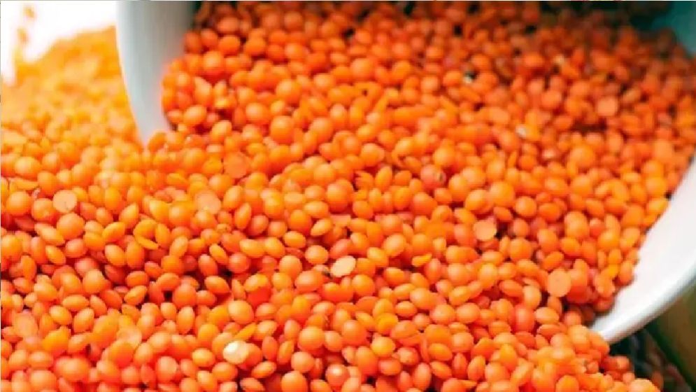 ৭২ টাকা কেজি দরে ১০ হাজার টন মসুর ডাল কিনবে সরকার