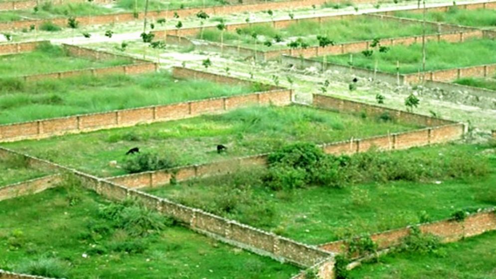 জবরদখল জমি হলে যা করবেন