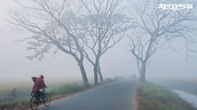 বৃষ্টির মতো ঝরছে শিশির!