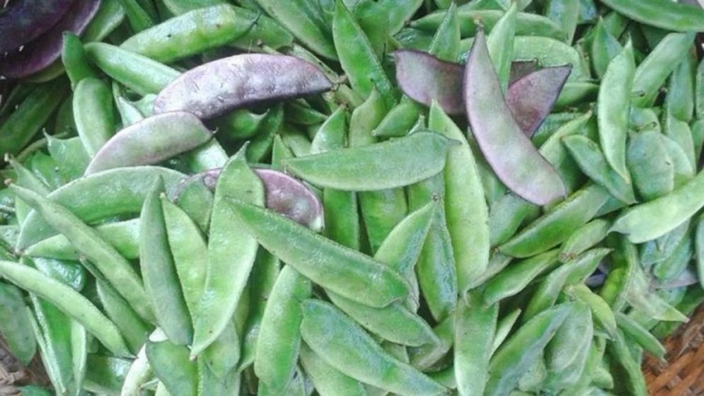 শিমের যত পুষ্টিগুণ