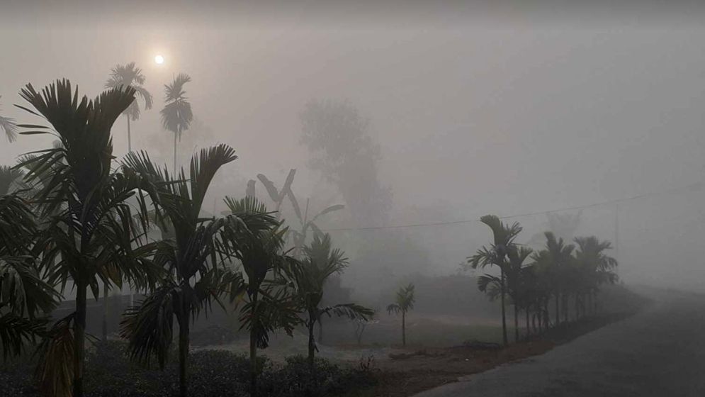 শীত ও কুয়াশা নিয়ে নতুন বার্তা দিল আবহাওয়া অফিস