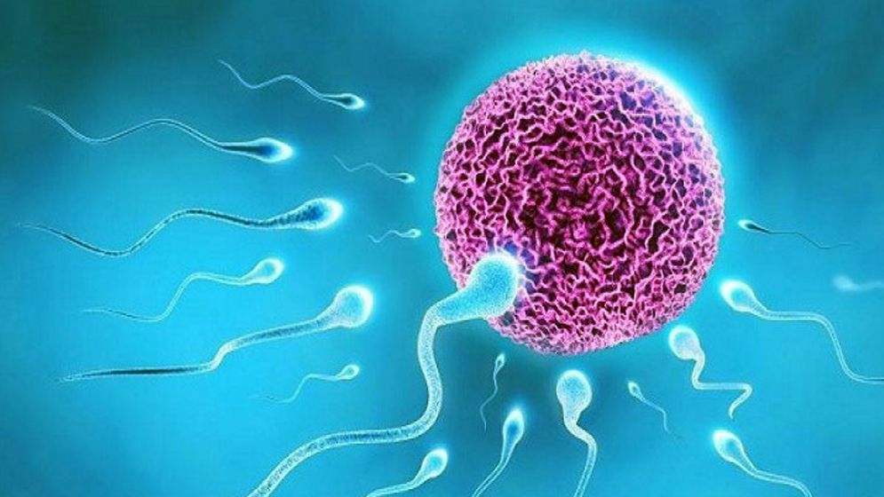 কম বয়সেই হরমোন সমস্যার যে ৫ লক্ষণ