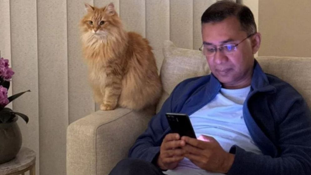 জেবু কোন প্রজাতির, বৈশিষ্ট কী?