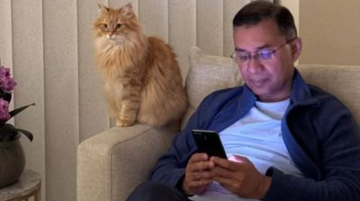 জেবু কোন প্রজাতির, বৈশিষ্ট কী?