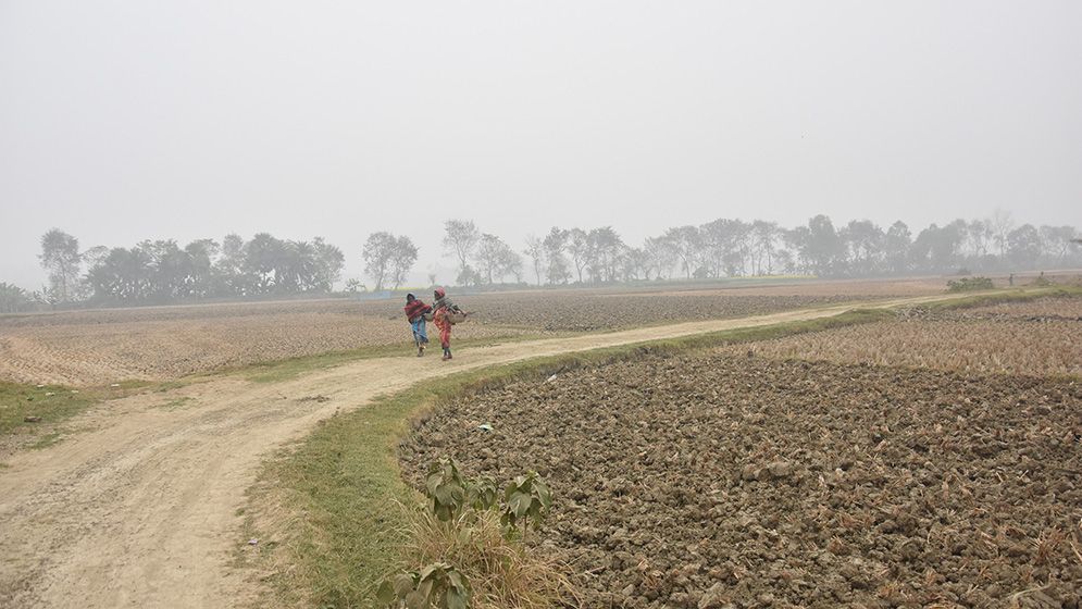 দেশের সর্বনিম্ন তাপমাত্রা যশোরে