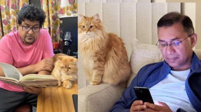 জেবুর কথা উল্লেখ করে তারেক রহমানের কাছে কয়েকটি দাবি দীপনের