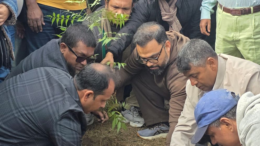 ক্ষত পোষাতে তারেক রহমানের সংবর্ধনাস্থলে বিএনপির বৃক্ষরোপণ