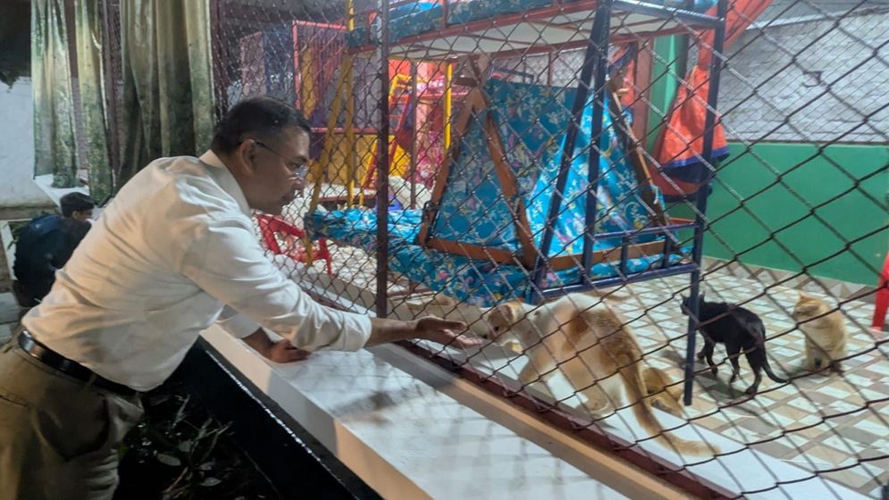 শ্বশুরবাড়ি ‘মাহবুব ভবনে’ প্রাণিপ্রেমী তারেক রহমান