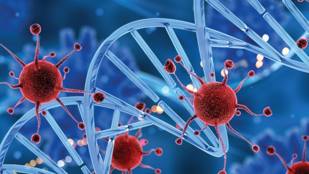 ক্যানসারের নতুন চিকিৎসা পদ্ধতি উদ্ভাবন করলেন গবেষকরা