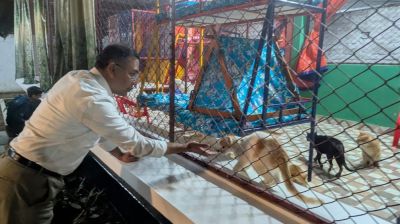 শ্বশুরবাড়ি ‘মাহবুব ভবনে’ প্রাণিপ্রেমী তারেক রহমান