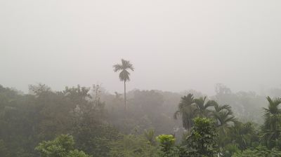 কুড়িগ্রামে শীতের তীব্রতায় জনজীবনে ভোগান্তি