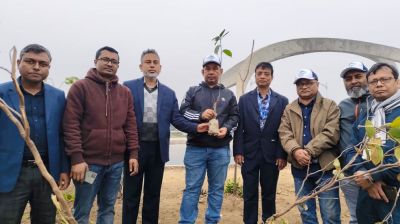 জুলাই এক্সপ্রেসওয়েতে এ্যাবের বৃক্ষরোপণ