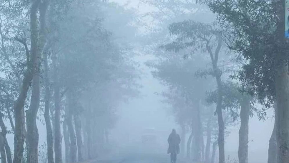 এমন কুয়াশা কতদিন থাকতে পারে জানাল আবহাওয়া অফিস