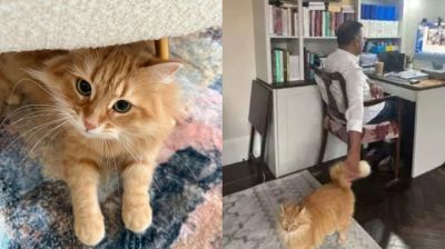 জেবুকে নিয়ে এত আগ্রহ দেখে যা বললেন জাইমা রহমান