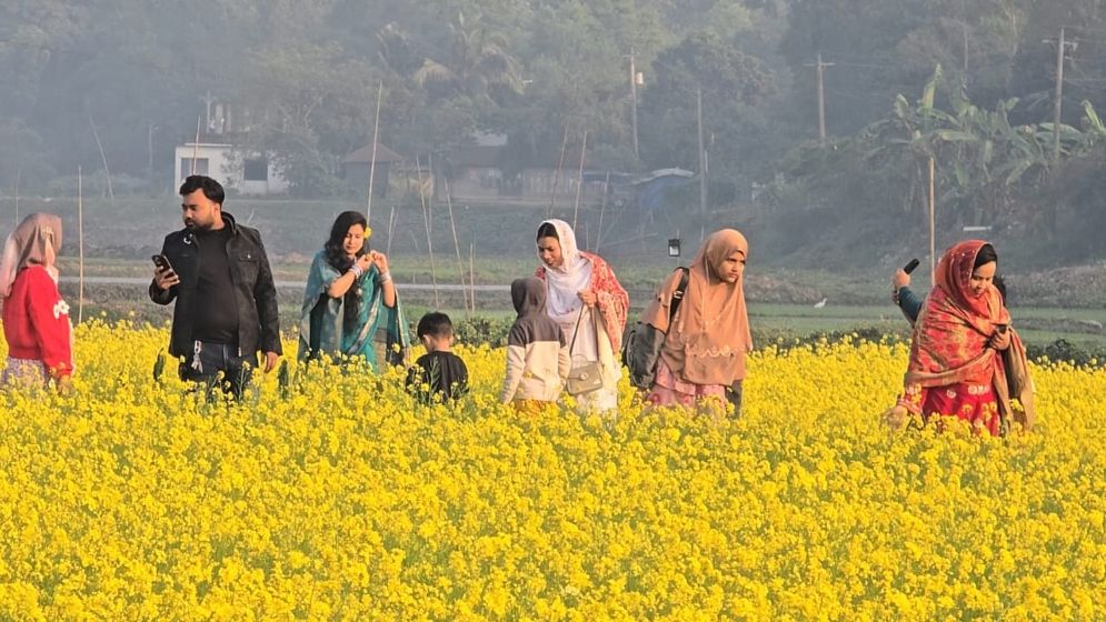 সরিষা ফুলের সৌন্দর্যে দর্শনার্থীদের ছবি তোলার হিড়িক