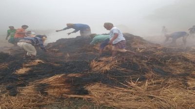 কৃষকের পাকা ধান পুড়িয়ে দিল দুর্বৃত্তরা