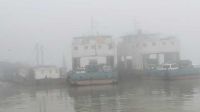 ঘন কুয়াশায় দৌলতদিয়া-পাটুরিয়া নৌরুটে ফেরি চলাচল বন্ধ