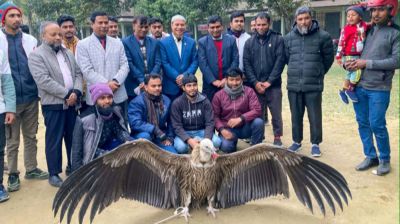 জমিতে পড়ে ছিল ‘হিমালয়ান’ শকুন