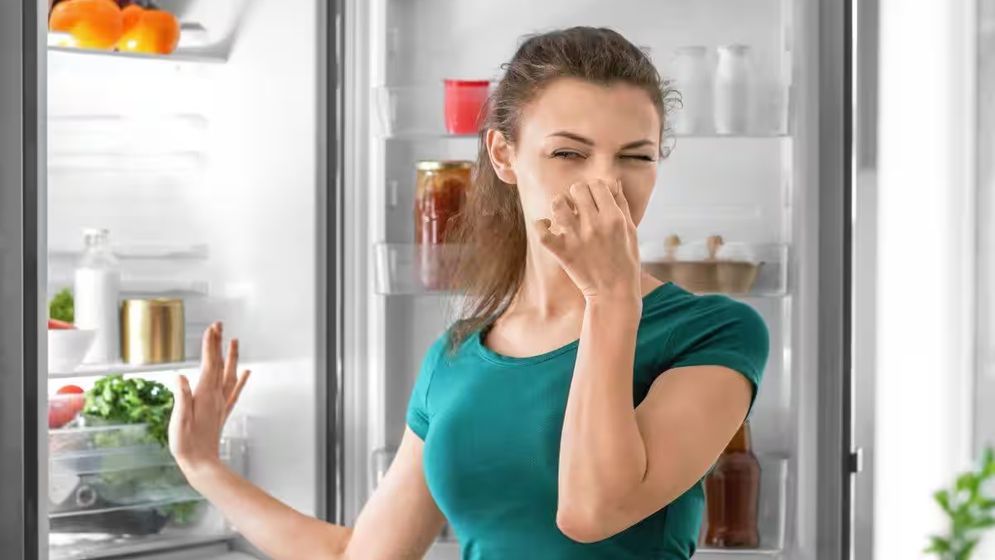 ফ্রিজ খুললেই দুর্গন্ধ, যেভাবে পাবেন মুক্তি