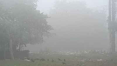 সৈয়দপুরে কুয়াশায় ঢাকা চারপাশ, তাপমাত্র নামল ৯ ডিগ্রিতে