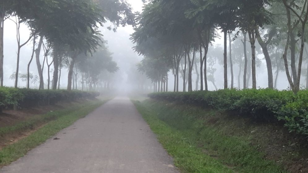 শ্রীমঙ্গলে দেশের সর্বনিম্ন তাপমাত্রা রেকর্ড