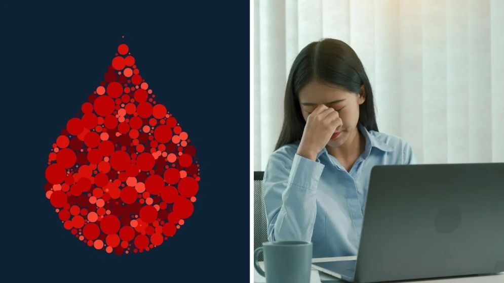 রক্তস্বল্পতায় সহজেই ক্লান্তি অনুভব করছেন? ডায়েটে রাখবেন যেসব খাবার