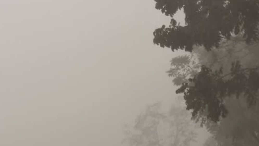 হিমেল হাওয়ায় জবুথবু ঠাকুরগাঁও, দিশেহারা প্রান্তিক কৃষক