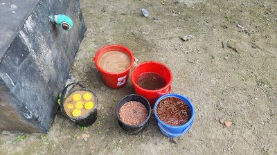 শরীয়তপুরে ২ ঘণ্টার অভিযানে ৪৫ ককটেল উদ্ধার