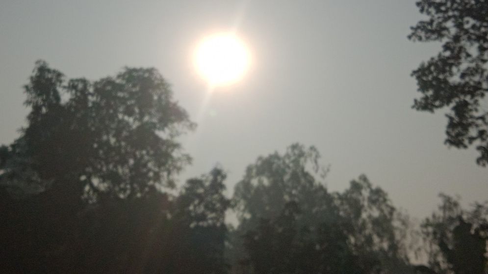 কুয়াশার বন্দিদশা কাটিয়ে রোদের দেখা পেল ঠাকুরগাঁও