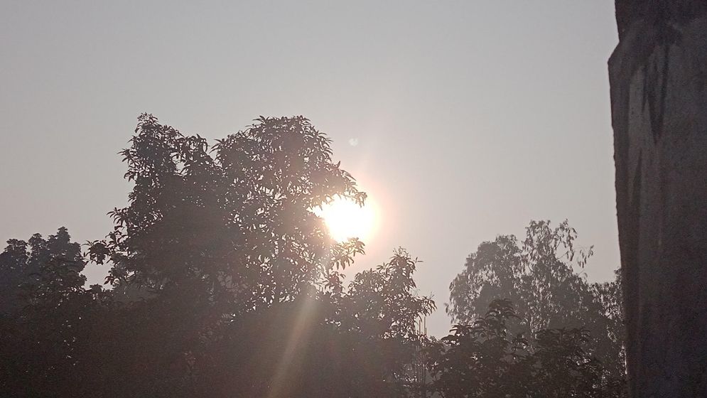কুয়াশার চাদর সরিয়ে অবশেষে উত্তরের জনপদে মিঠে রোদের পরশ
