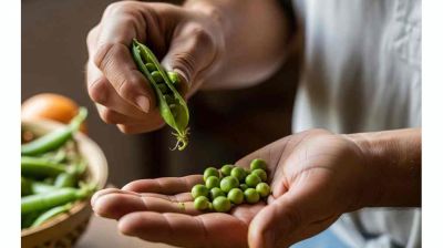 পাঁচ মিনিটেই ৫ কেজি মটরশুঁটির খোসা ছাড়িয়ে ফেলা সম্ভব