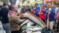 বড় বড় মাছের মেলা